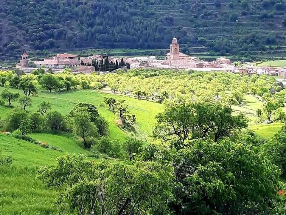 Las Moradas Del Temple Mirambel  Zewnętrze zdjęcie
